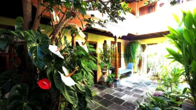 Chalet in Tenerife North photo 16