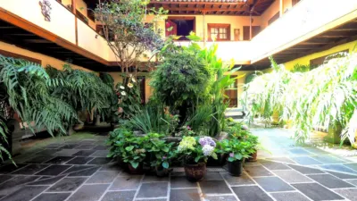 Chalet in Tenerife North photo 17