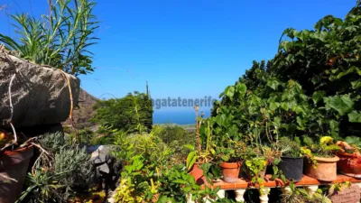 Chalet in Tenerife North photo 45
