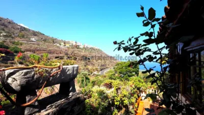 Chalet in Tenerife North photo 47