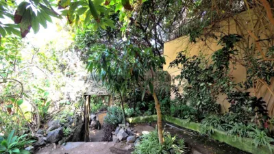 Chalet in Tenerife North photo 51