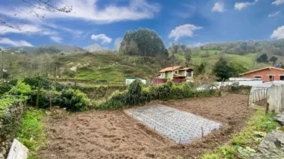 Rustic Finca in Barrio de Santibáñez, 61 photo 39