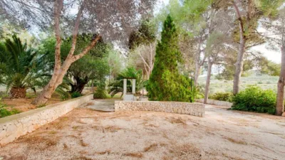 Rustic Finca in the Valencian Community photo 15