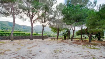 Rustic Finca in the Valencian Community photo 17