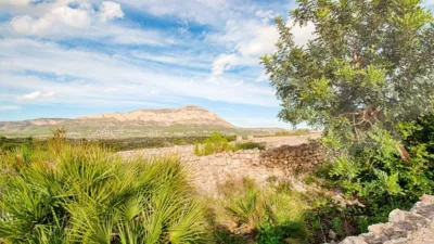 Rustic Finca in the Valencian Community photo 18