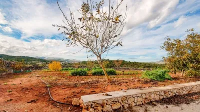 Rustic Finca in the Valencian Community photo 20