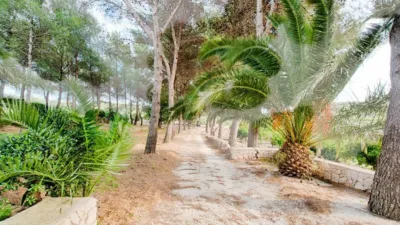 Rustic Finca in the Valencian Community photo 22