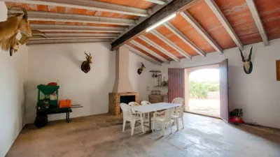 Rustic Finca in the Valencian Community photo 46