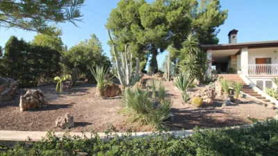 Casa – Elx - Elche - Vista 5