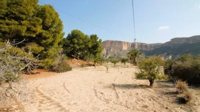 Rustic Finca in Castell Vell photo 17