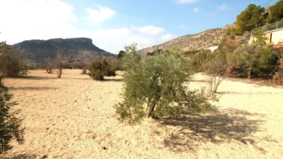 Rustic Finca in Castell Vell photo 18