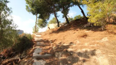 Rustic Finca in Castell Vell photo 19