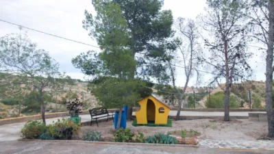 Rustic Finca in Partida Marchant photo 26