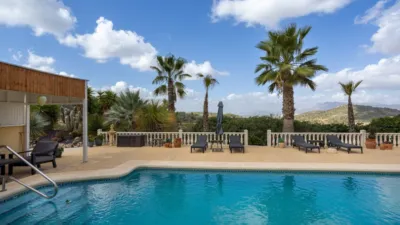 Chalet in Jumilla photo 32