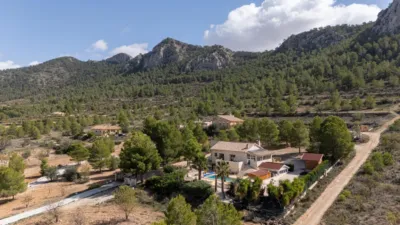 Chalet in Jumilla photo 38