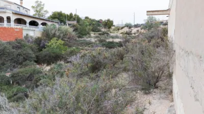 Rustic finca in San Antonio de La Florida photo 12