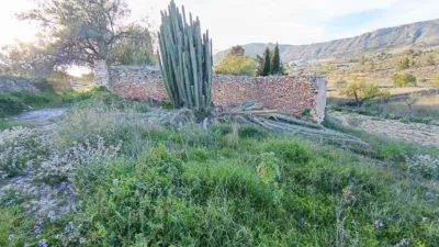 Rustic Finca in Algaya photo 2