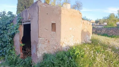 Rustic Finca in Algaya photo 4