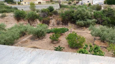 Rustic Finca in Las Lomas photo 23