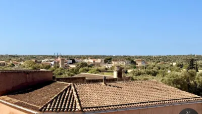 Apartment in Santanyí photo 15