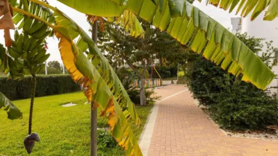 Flat on Calle Vera Colina photo 38