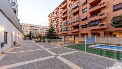 Apartment on Calle Argentina photo 27