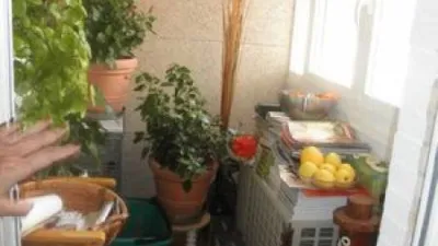 Apartment in the City Centre photo 20
