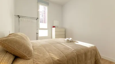 Apartment on Alcalde L. Uruñuela - Palacio de Congresos photo 22