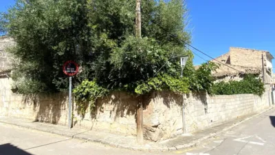House in Muro photo 7