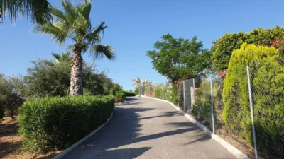 Rustic finca on Calle los Alberos, Cuesta Blanquilla, No. F.A photo 38