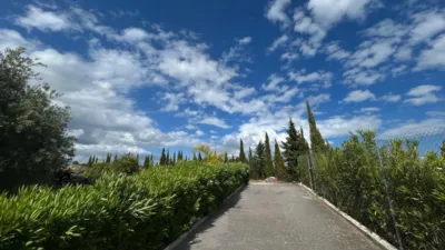 Rustic finca on Calle los Alberos, Cuesta Blanquilla, No. F.A photo 39
