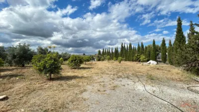 Rustic finca on Calle los Alberos, Cuesta Blanquilla, No. F.A photo 40