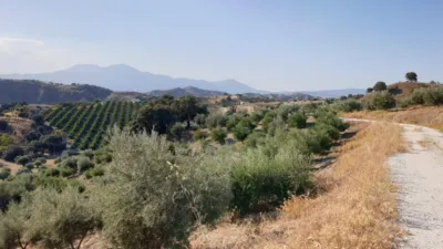 Rustic finca on Calle los Alberos, Cuesta Blanquilla, No. F.A photo 43