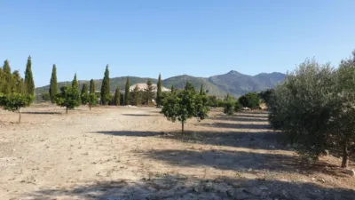 Rustic finca on Calle los Alberos, Cuesta Blanquilla, No. F.A photo 44
