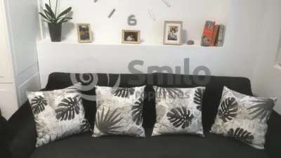 Flat on Paseo Domingo Diaz Perez Street, No. 9 photo 22