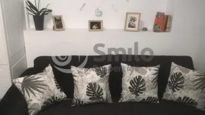 Flat on Paseo Domingo Diaz Perez Street, No. 9 photo 6