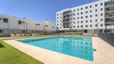 Apartment on Avenida de las Ciencias photo 4