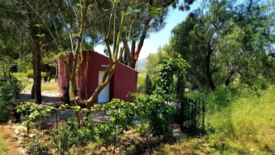 Rustic Finca on Mojon-Las Palas Road photo 21