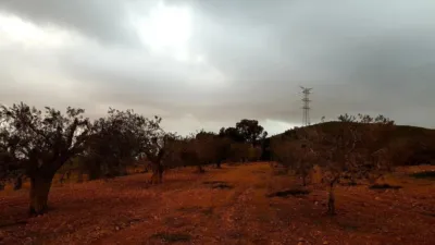 Rustic Finca on Mojon-Las Palas Road photo 22