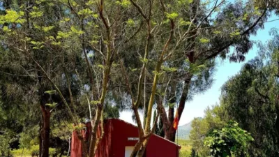 Rustic Finca on Mojon-Las Palas Road photo 25