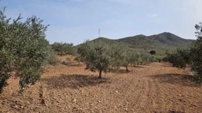 Rustic Finca on Mojon-Las Palas Road photo 28