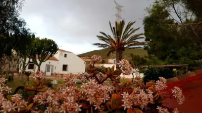 Rustic Finca on Mojon-Las Palas Road photo 31