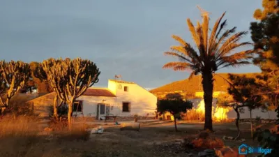 Rustic Finca on Mojon-Las Palas Road photo 33