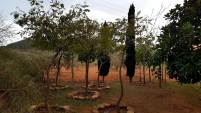 Rustic Finca on Mojon-Las Palas Road photo 35