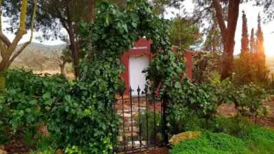 Rustic Finca on Mojon-Las Palas Road photo 36
