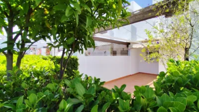 House on Calle 5-6 (Condado de Alhama), No. 1 photo 2