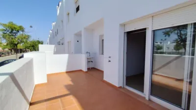 House on Calle 5-6 (Condado de Alhama) photo 13