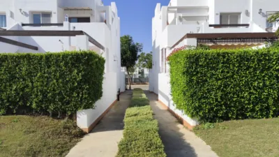 House on Calle 5-6 (Condado de Alhama) photo 62