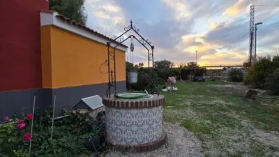 Rustic Finca on Camino de los Cerones photo 13