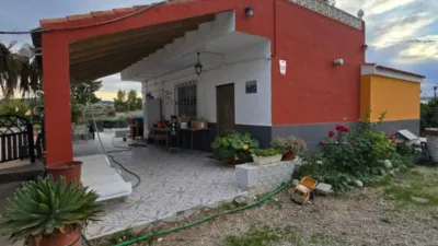 Rustic Finca on Camino de los Cerones photo 14